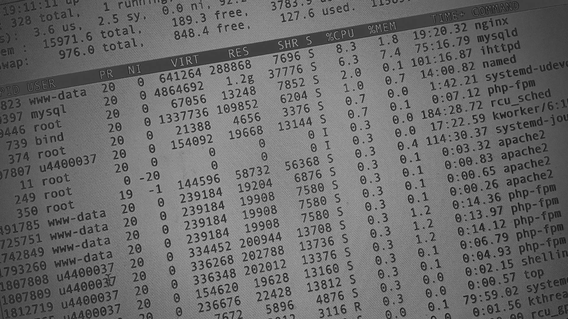 Настройка сервера в Медыни