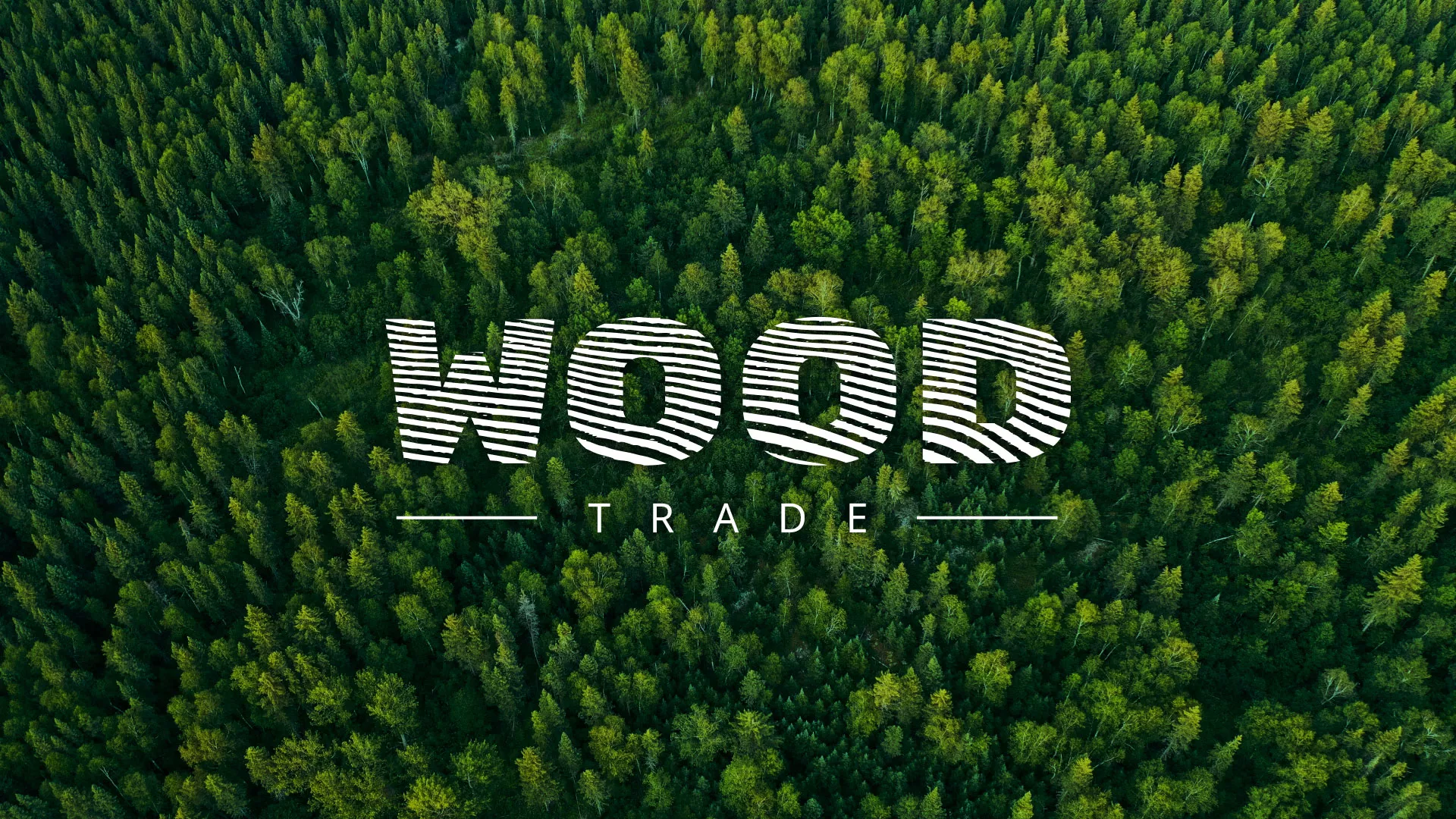 Разработка интернет-магазина компании «Wood Trade» в Медыни
