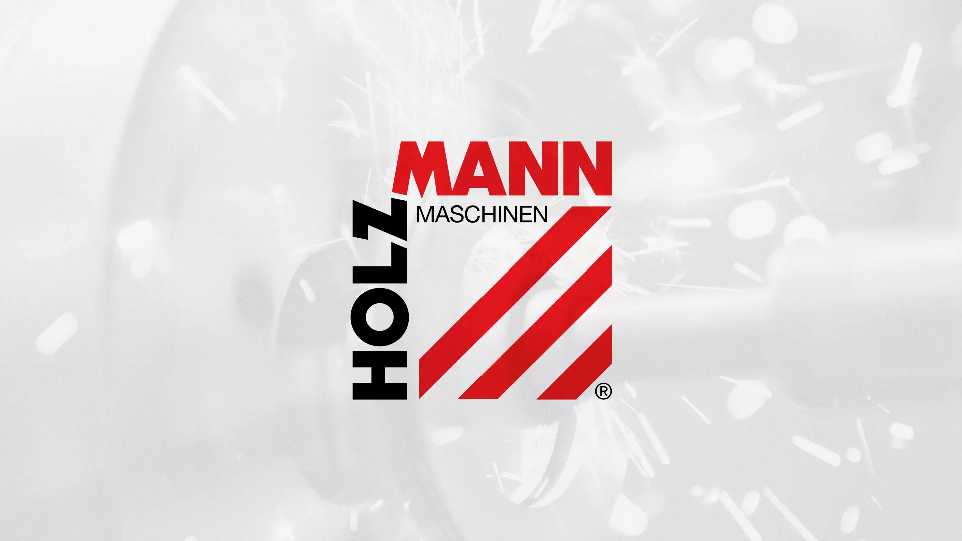 Создание сайта компании «HOLZMANN Maschinen GmbH» в Медыни